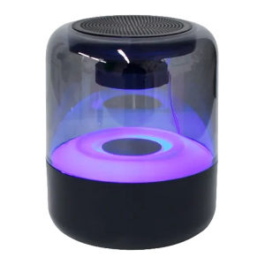Portable Bluetooth Speaker